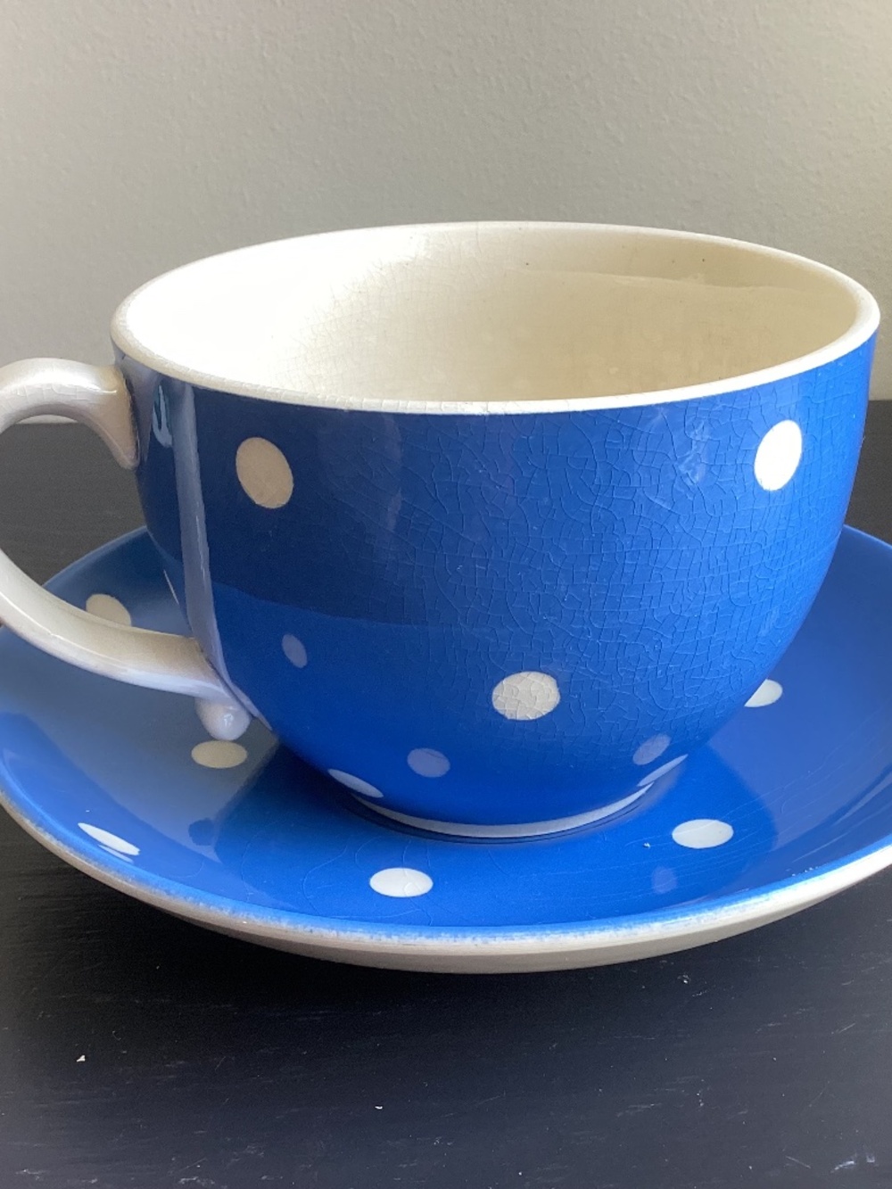 VTG TG Green Cloverleaf Earthenware Blue n White Poka Dot Cup and Saucer